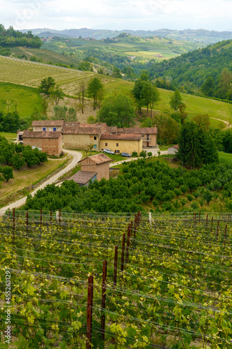 Landscape of Langhe  Piedmont  Italy near Dogliani at May