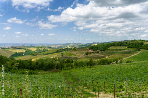 Landscape of Langhe, Piedmont, Italy near Dogliani at May © Claudio Colombo