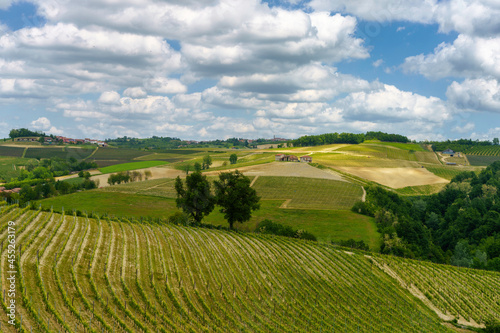 Fototapeta Naklejka Na Ścianę i Meble -  Landscape of Langhe, Piedmont, Italy near Dogliani at May