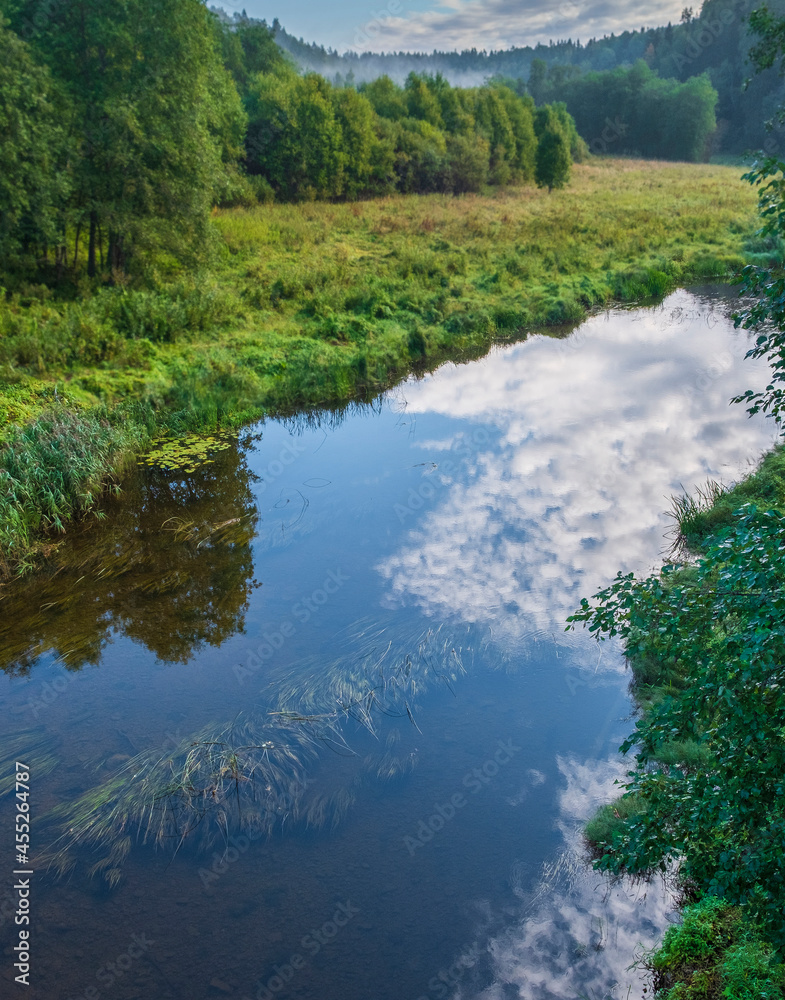 Forest river Lemovzha in the Volosovsky district of the Leningrad region, on a summer sunny morning Forest river Lemovzha in the Volosovsky district of the Leningrad region, on a summer sunny morning