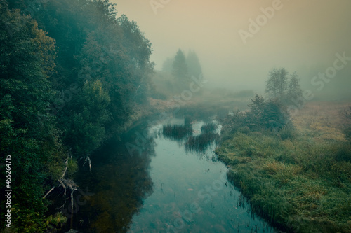 foggy mystical morning in the forest on the Lemovzha river in the Volosovsky district of the Leningrad region of Russia © Lana Kray