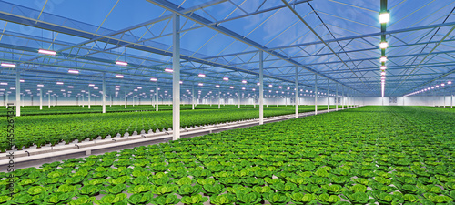Valokuva Industrial greenhouse interior