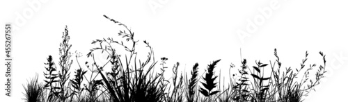 Grass silhouette. Healing herb background . Monochrome grass with flowers. Vector illustration