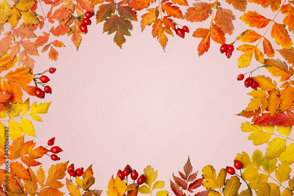 Autumn background. A frame made of autumn leaves. Autumn banner. Background with copy space. Horizontal. Top view.