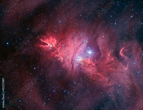 Fototapeta Naklejka Na Ścianę i Meble -  The Cone nebula in the constellation Monoceros