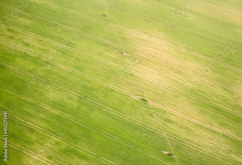Aerial view with a green field and a power line with poles in the spring morning. © Bargais