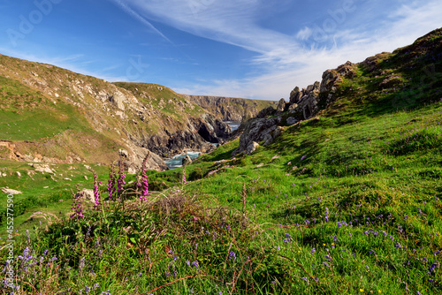 Late spring flowers and dramatic coastal scenery. Lizard Peninsula, Cornwall, UK photo