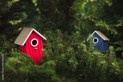 Canvastavla Bright colored birdhouses in the crown of a tree are ready to be populated by ch