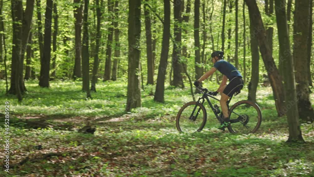 A cyclist is riding at speed along a forest path. Hi is going around fallen trees. Training on an MTB bike. The sun is shining through the trees. 4K 50fps A cyclist is riding at speed along a forest path. Hi is going around fallen trees. Training on an MTB bike. The sun is shining through the trees. 4K 50fps
