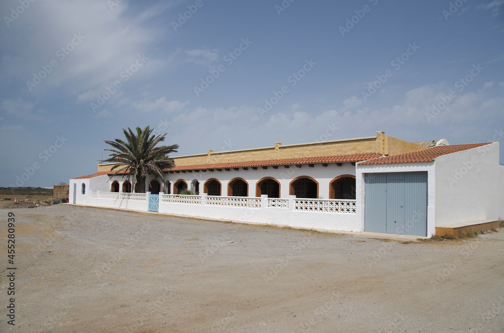 Cortijo en Andalusia Almeria, a big white house with a palm tree inside.