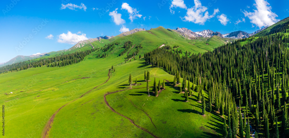 Green grass and mountain with forest landscape in Nalati grassland,Xinjiang,China.Aerial view.