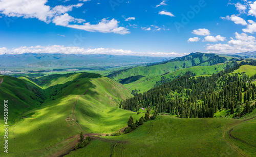 Green grass and mountain landscape in Nalati grassland,Xinjiang,China.Aerial view. photo