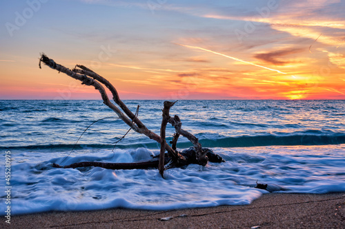 ld wood trunk snag in water at beach on beautiful sunset