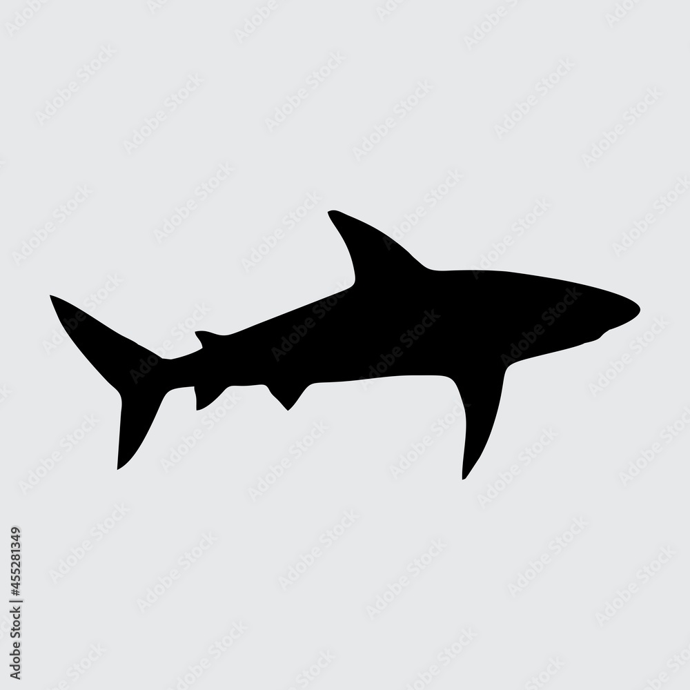 Shark Silhouette, Shark Isolated On White Background Shark Silhouette, Shark Isolated On White Background