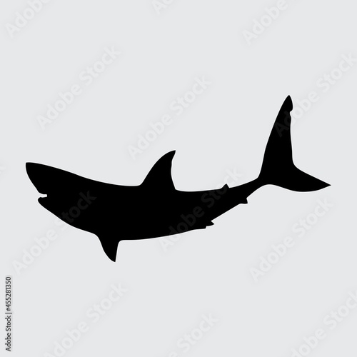 Shark Silhouette  Shark Isolated On White Background