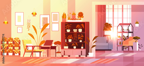 greenhouse plants potted flowers on shelves home garden concept living room interior horizontal