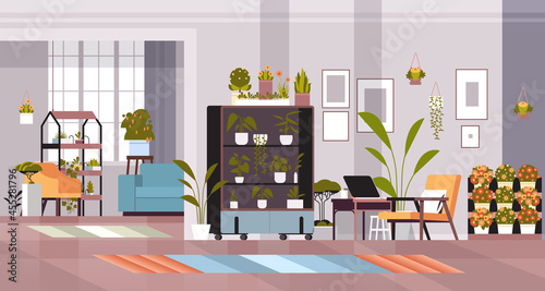 greenhouse plants potted flowers on shelves home garden concept living room interior horizontal