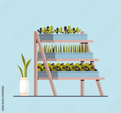 greenhouse plants potted plants on shelves home garden concept