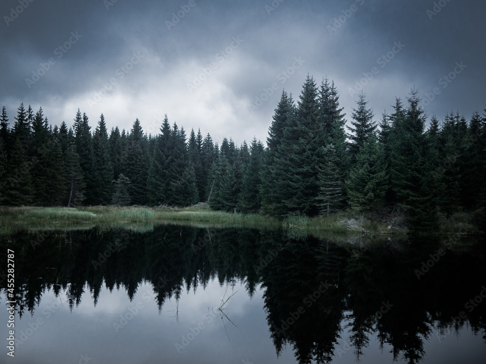 Moody and silent pond without people with calm and deep atmosphere, trees reflections on the water in the middle of nature park Jizera mountains, Czech Republic.