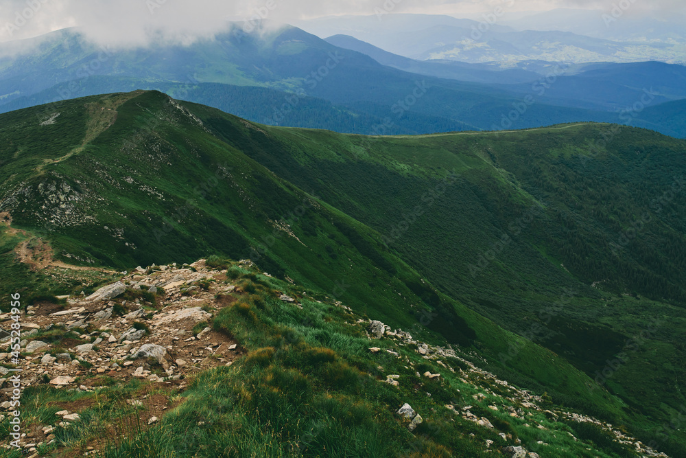 Fototapeta premium Mountains and plains with green lush grass and stones. Mountain forest in the fog of clouds. Mountain forest landscape.