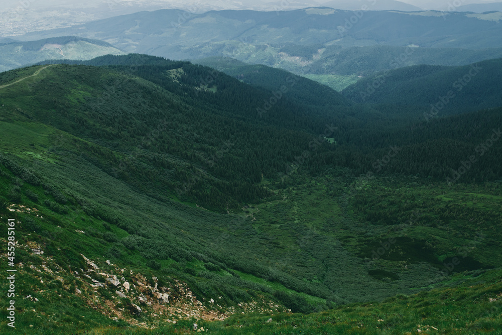 Obraz premium A landscape of a mountainous area covered with grass and stones. Mountains covered with fog and clouds. Landscape of a forest covered with fog.