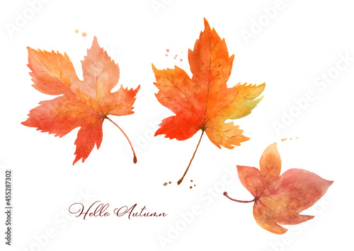 Watercolor autumn maple leaves.