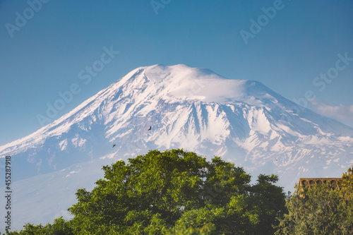 The top of the mountain and the extinct volcano Ararat or Masis in Armenian. A picturesque tree crown in the foreground and flying flocks of birds in the sky