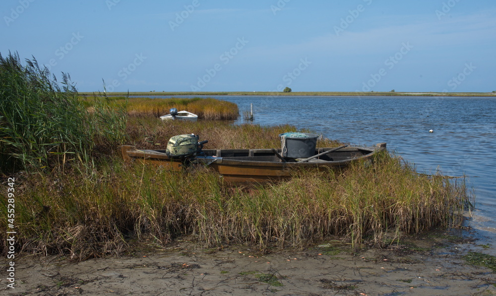 Bei Gollwitz auf der Insel Poel, im Hintergrund Vogelschutzinsel Langenwerder Bei Gollwitz auf der Insel Poel, im Hintergrund Vogelschutzinsel Langenwerder