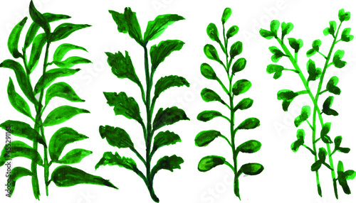 Collection of greenery leaf in watercolor