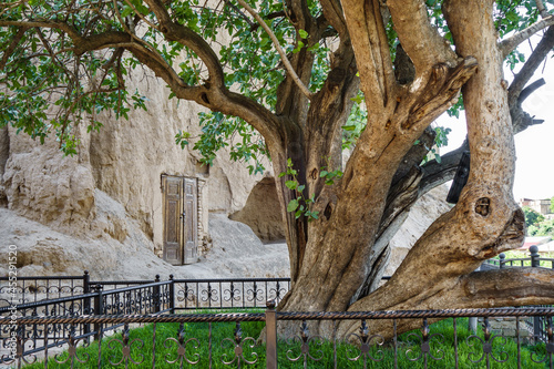 Sacred pistachio tree and hermit's dwelling in the rock (door in the background). Located near the mausoleum of the prophet Doniyor (biblical Daniel) in Samarkand, Uzbekistan