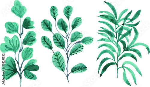 Collection of greenery leaf in watercolor.