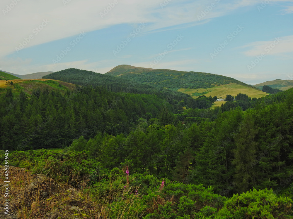Obraz premium landscape with trees