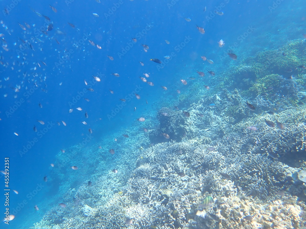 Obraz premium インドネシア ムンジャンガン島の海