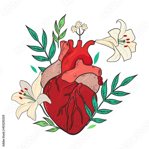 Composition with lily flowers and heart isolate on a white background. Vector graphics.