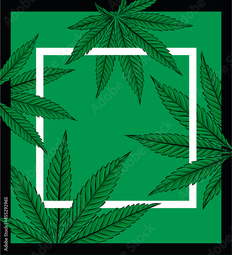 Sketch of Marijuana leaves, cannabis on white background