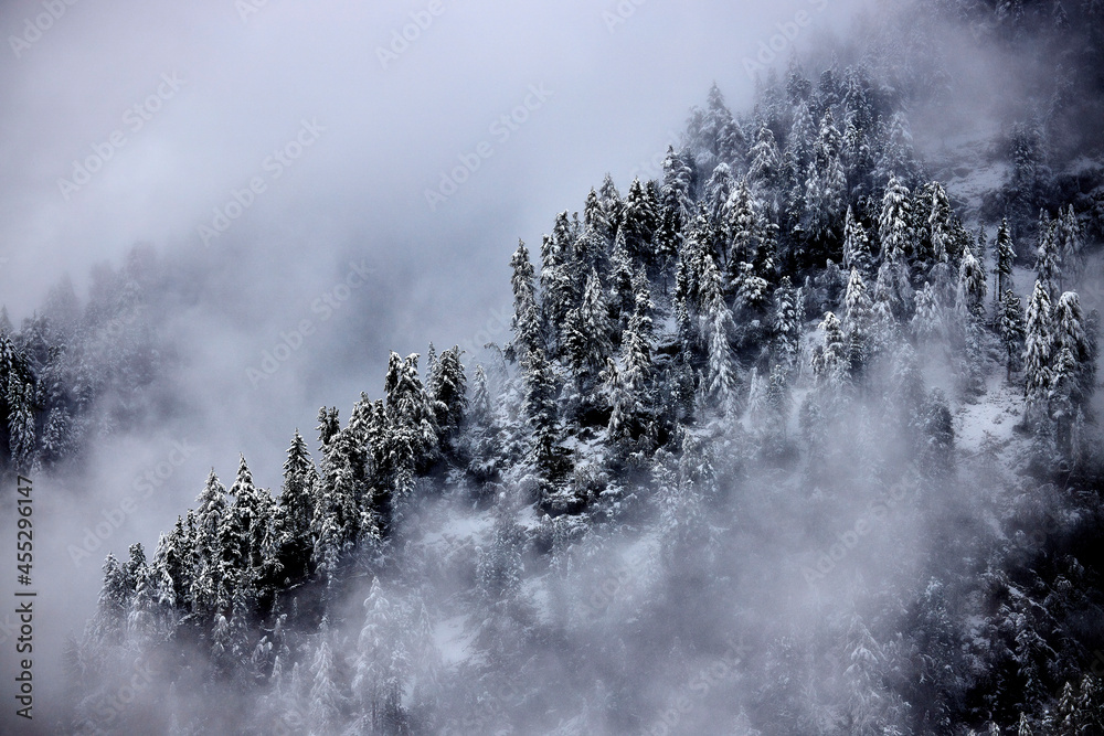 foggy and misty nature landscape of snowy mountains foggy and misty nature landscape of snowy mountains