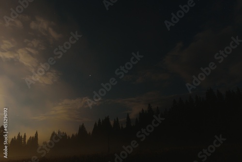mountain landscape pine trees near valley and colorful forest on hillside under blue sky with clouds and fog in moon light at night