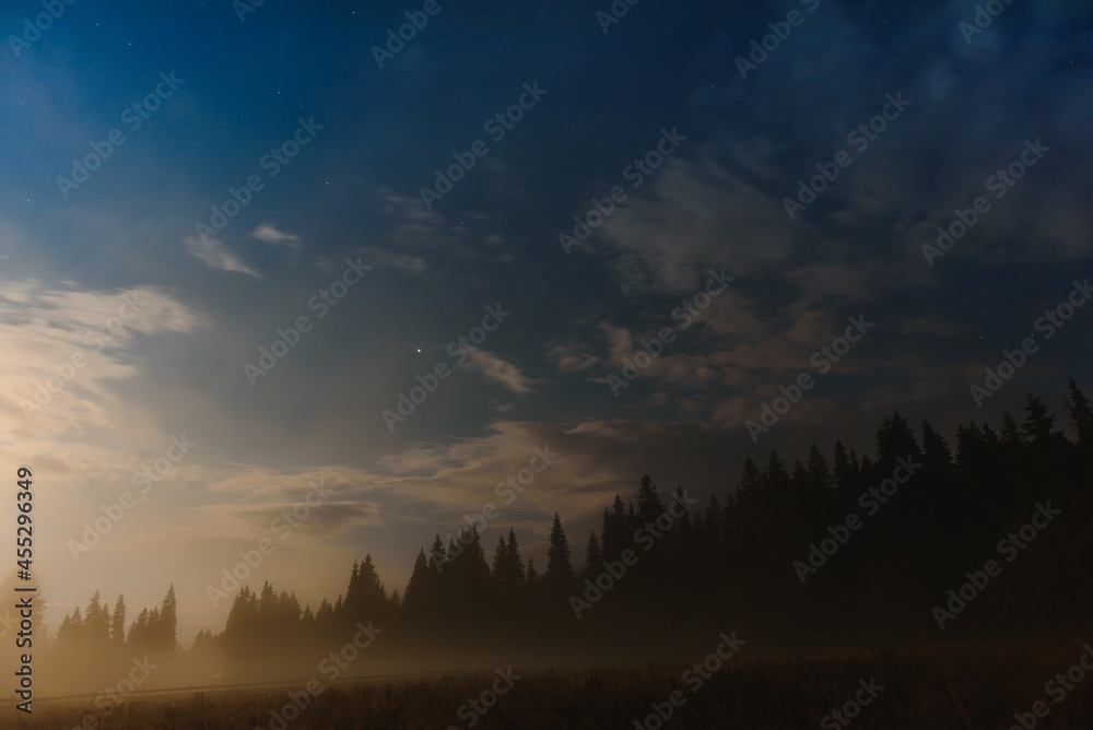 mountain landscape pine trees near valley and colorful forest on hillside under blue sky with clouds and fog in moon light at night