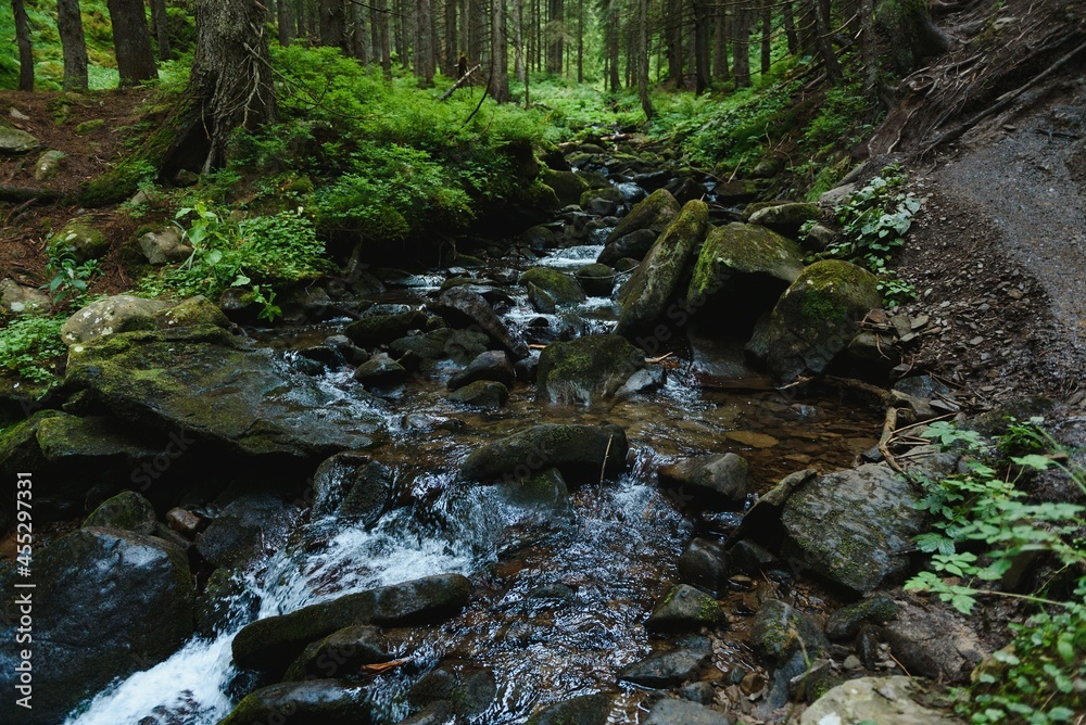 Mountain stream in green forest at spring time Mountain stream in green forest at spring time