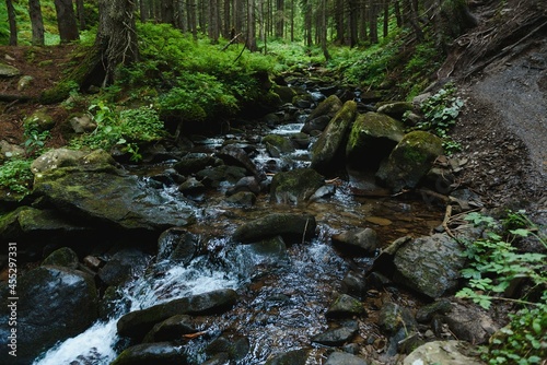 Mountain stream in green forest at spring time