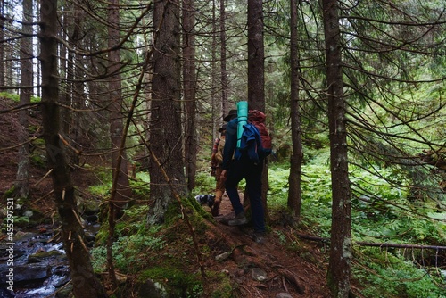 Hikers walking on forest trail with camping backpacks. outdoors trekking on mountain.