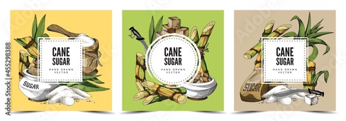 Cane sugar decorative colorful backgrounds set of vintage vector illustrations.