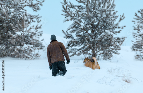 Defocused winter background. Man and his dog are walking through the snowdrifts during a snowfall.