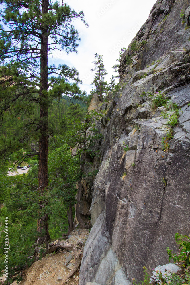 Views of Spearfish Canyon, Spearfish Canyon Scenic Byway, South Dakota