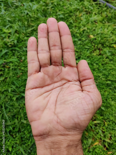 Human hand palm closeup shot over the green meadow isolated on blur background
