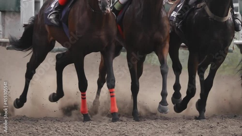 First Seconds After the Start of the Horse Race. Slow Motion