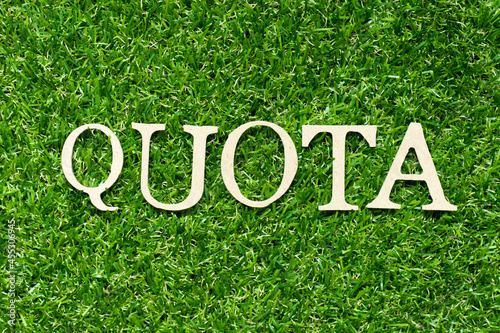 Wood letter in word quota on green grass background