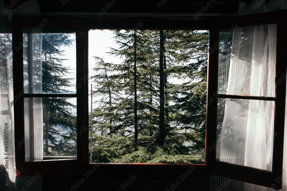 Naklejka premium Open window frame with the view on beautiful forrest