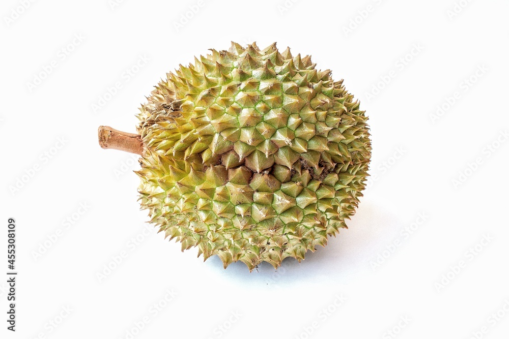 durian isolated on white background durian isolated on white background