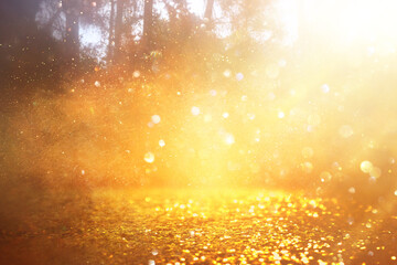 blurred abstract photo of light burst among trees and glitter golden bokeh lights